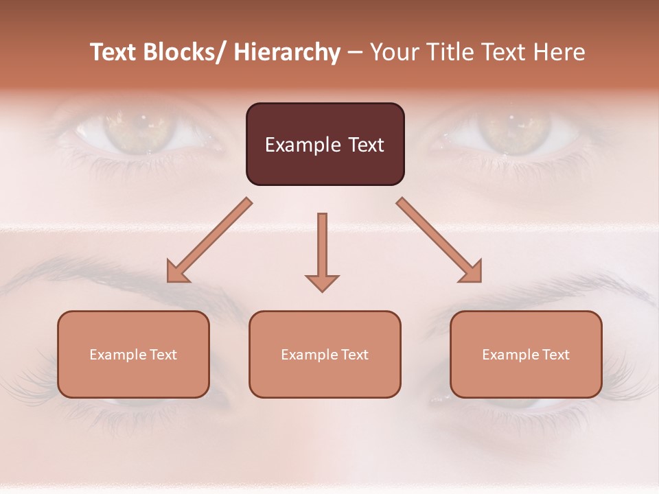 Fashion View Silhouette PowerPoint Template