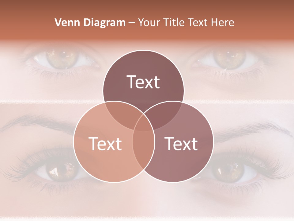 Fashion View Silhouette PowerPoint Template