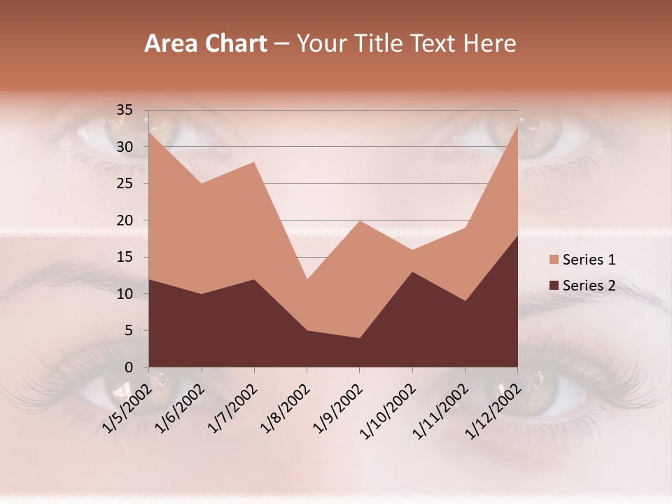 Fashion View Silhouette PowerPoint Template