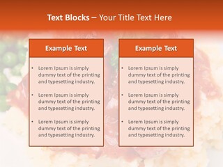 Silhouette Anatomy Head PowerPoint Template