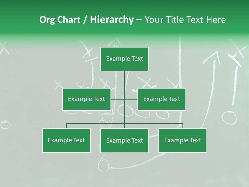 Fashion Side Proportions PowerPoint Template