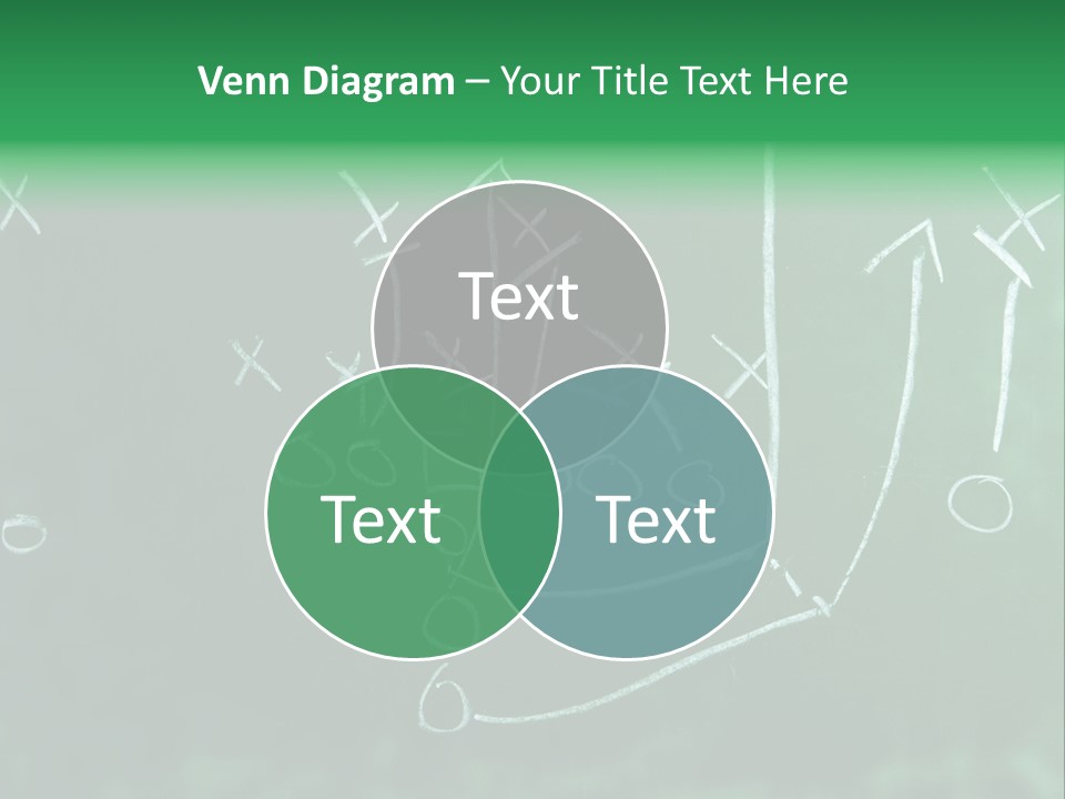 Fashion Side Proportions PowerPoint Template