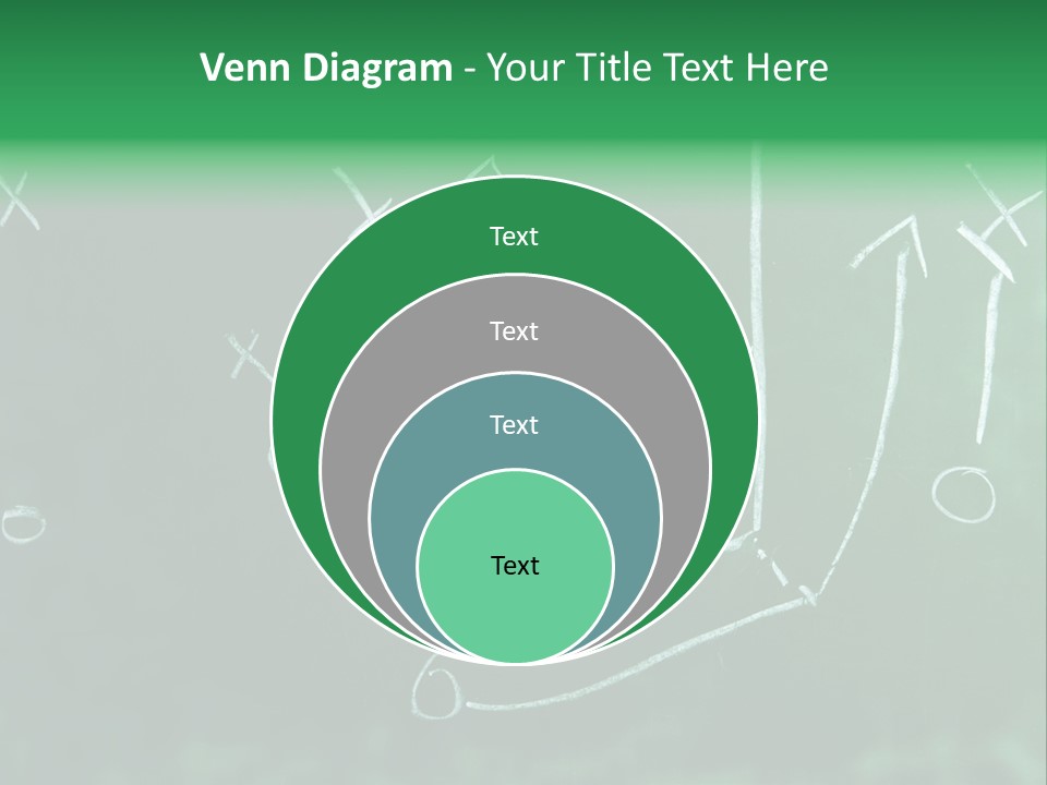 Fashion Side Proportions PowerPoint Template