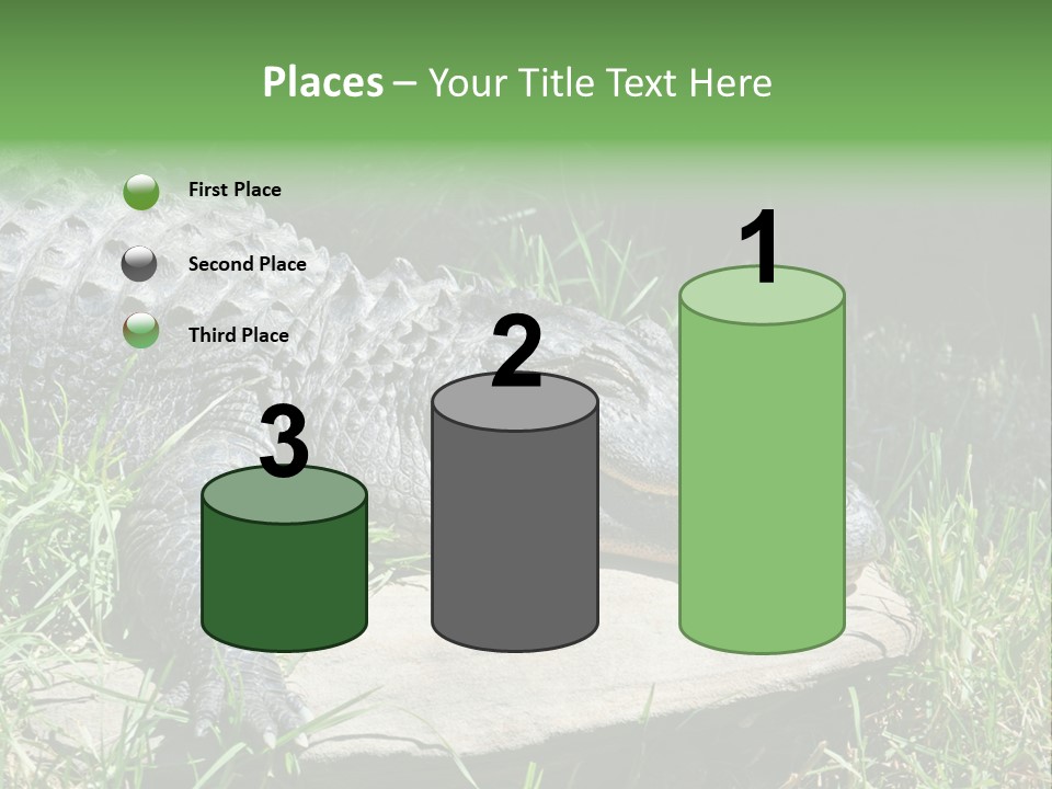 Crocodile PowerPoint Template