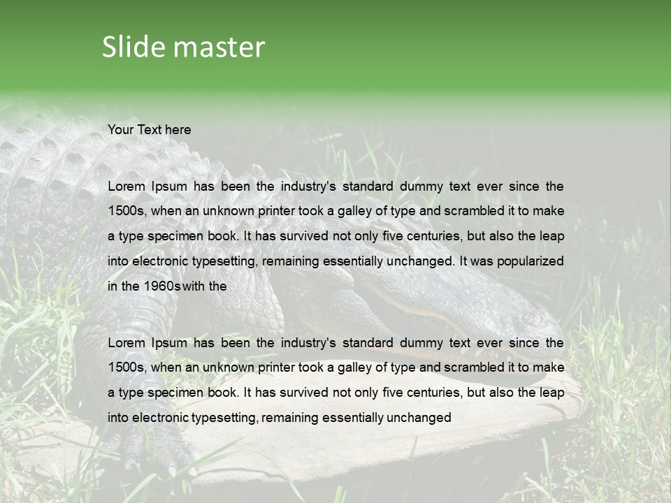 Crocodile PowerPoint Template