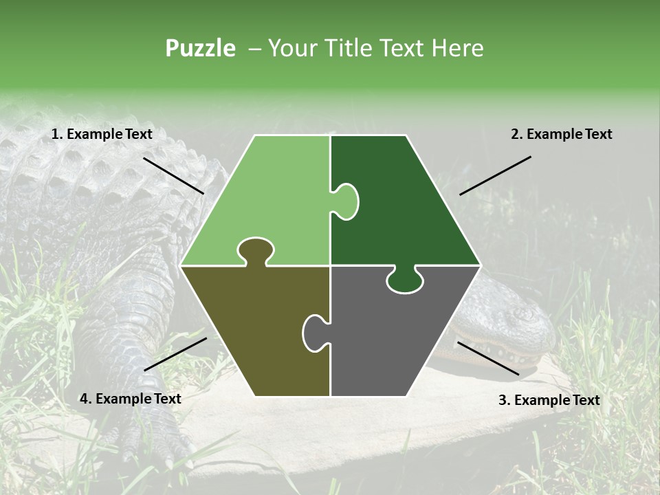 Crocodile PowerPoint Template