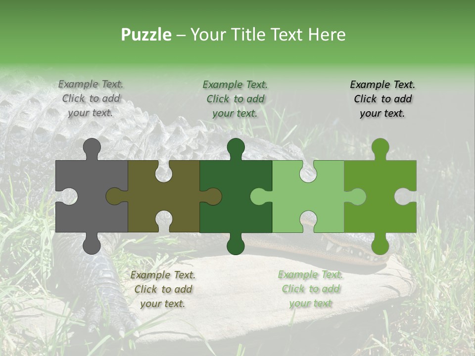 Crocodile PowerPoint Template