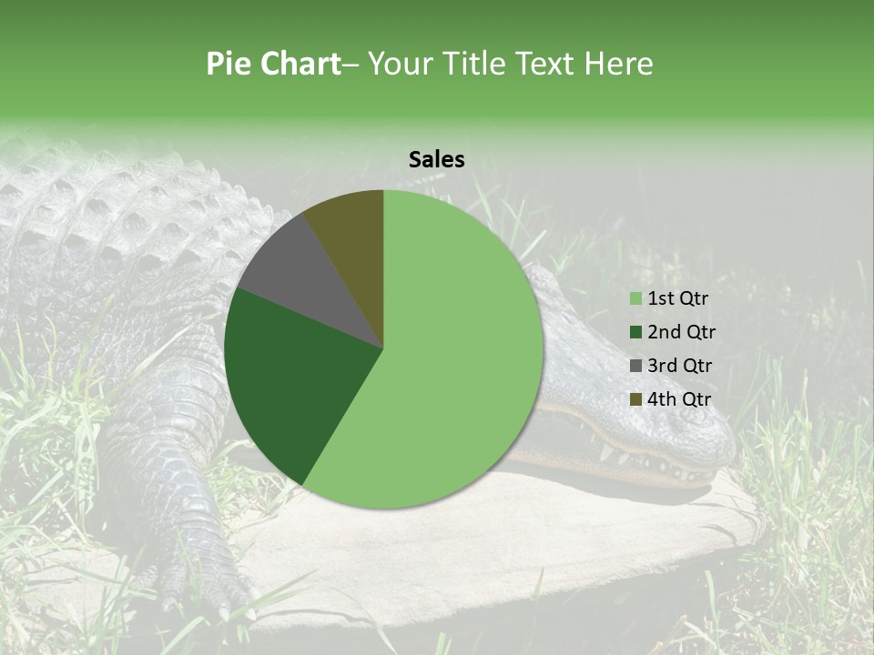 Crocodile PowerPoint Template