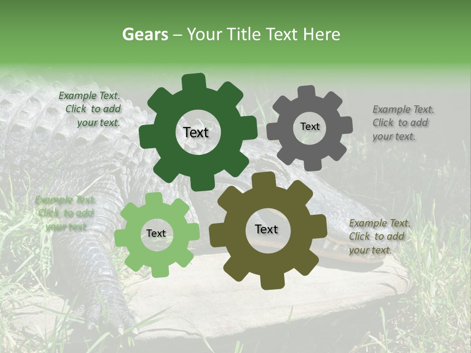 Crocodile PowerPoint Template