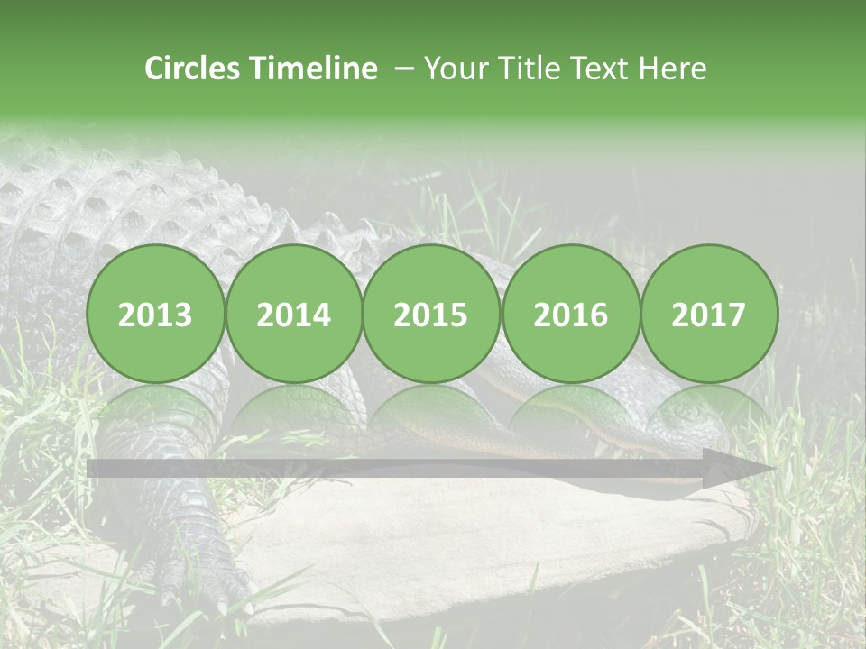 Crocodile PowerPoint Template