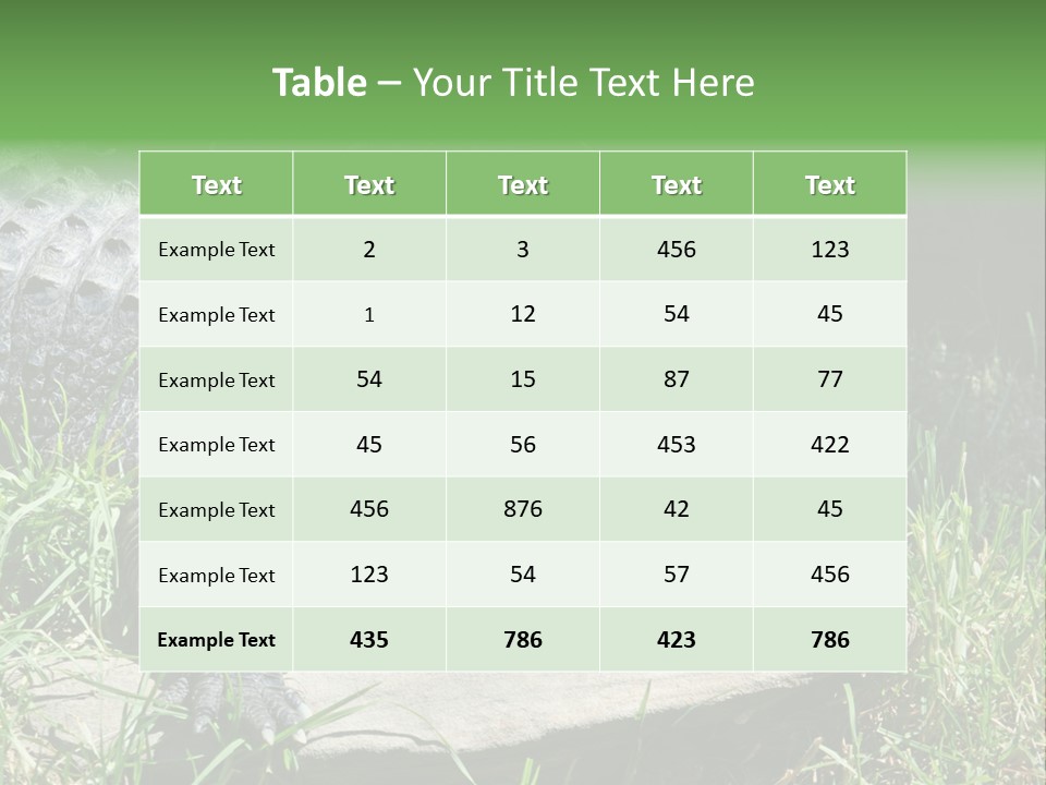 Crocodile PowerPoint Template