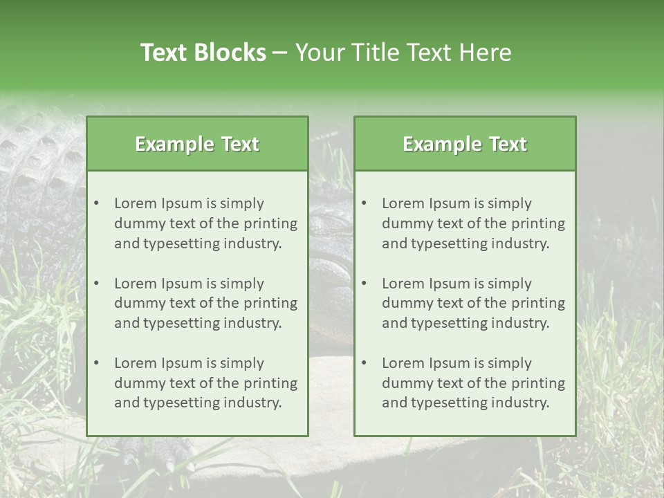 Crocodile PowerPoint Template