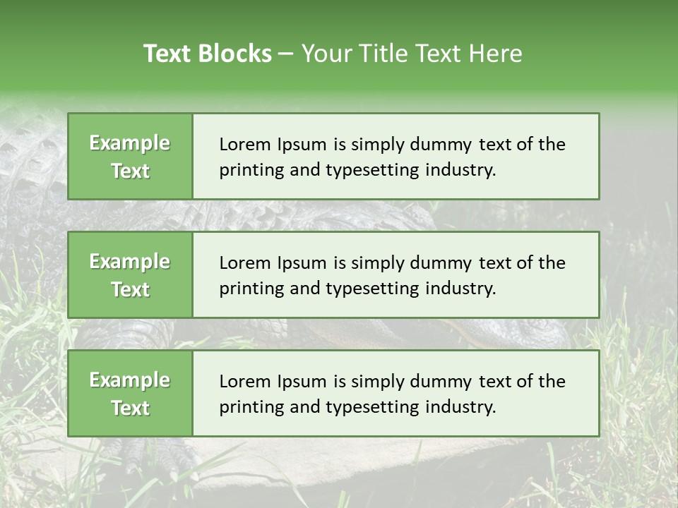 Crocodile PowerPoint Template