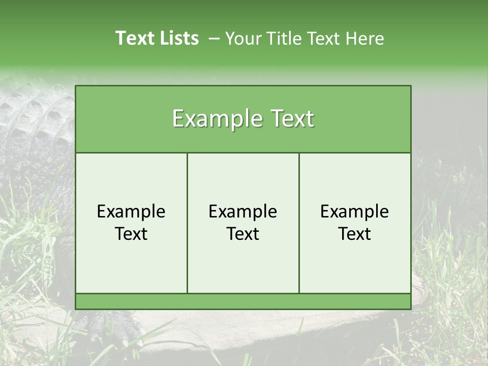 Crocodile PowerPoint Template