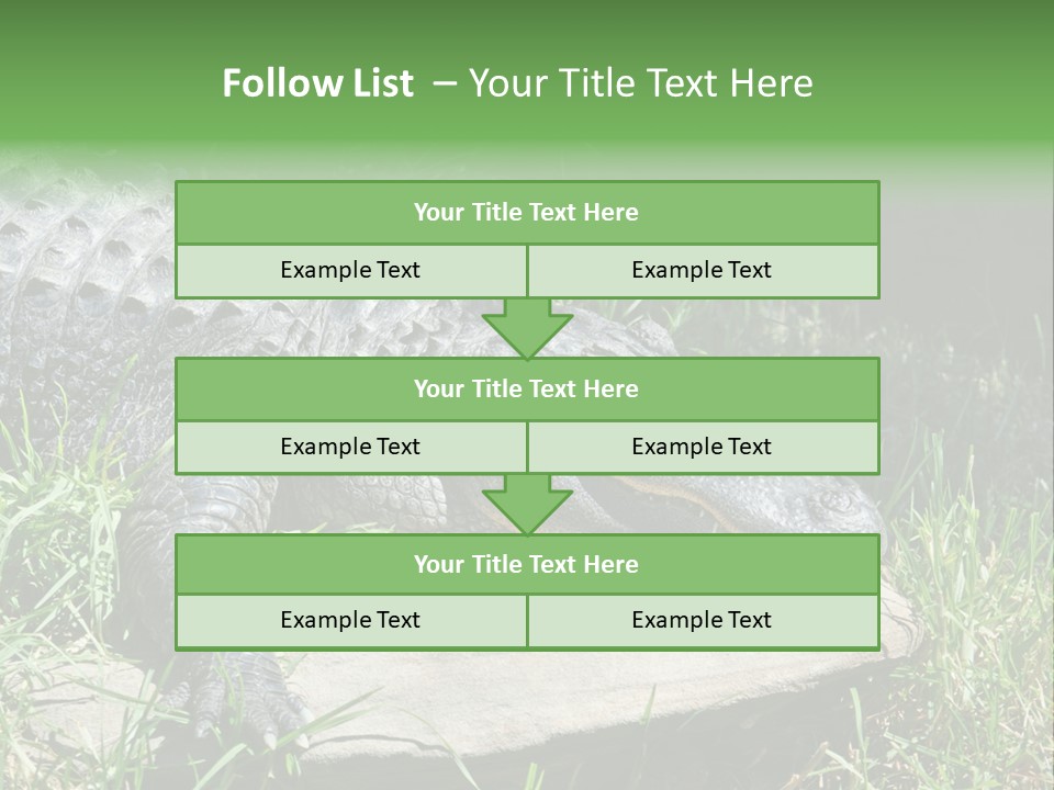 Crocodile PowerPoint Template