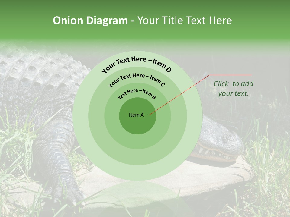 Crocodile PowerPoint Template