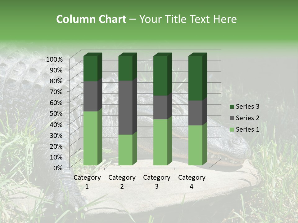 Crocodile PowerPoint Template