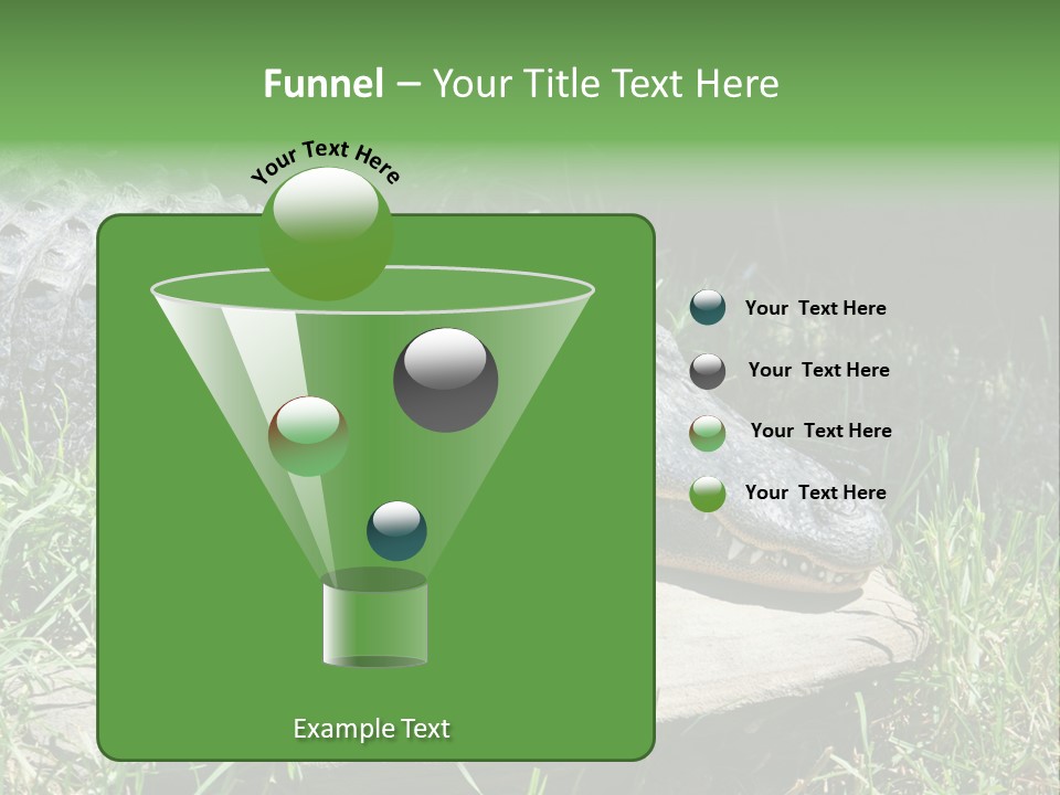 Crocodile PowerPoint Template