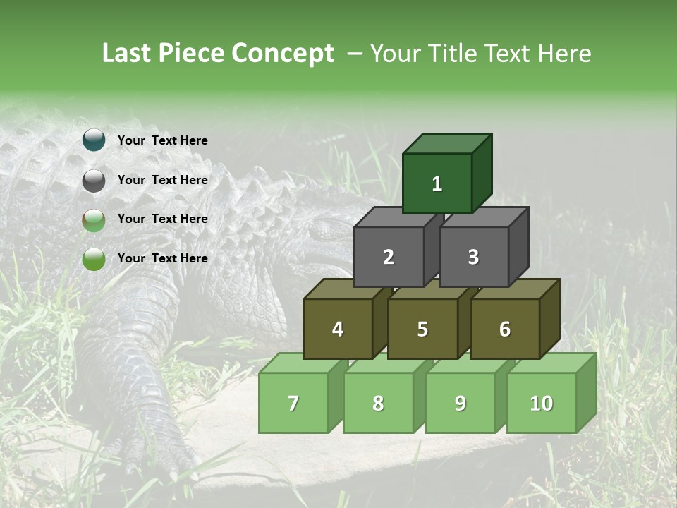 Crocodile PowerPoint Template