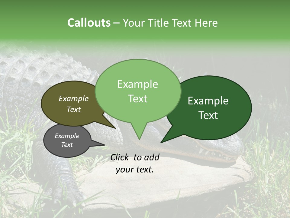 Crocodile PowerPoint Template