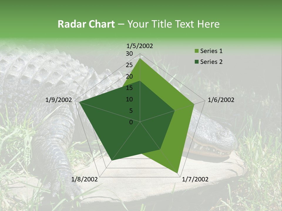 Crocodile PowerPoint Template