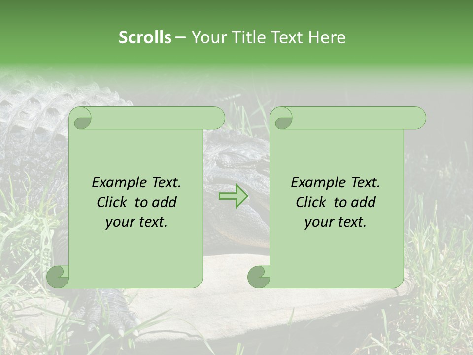 Crocodile PowerPoint Template