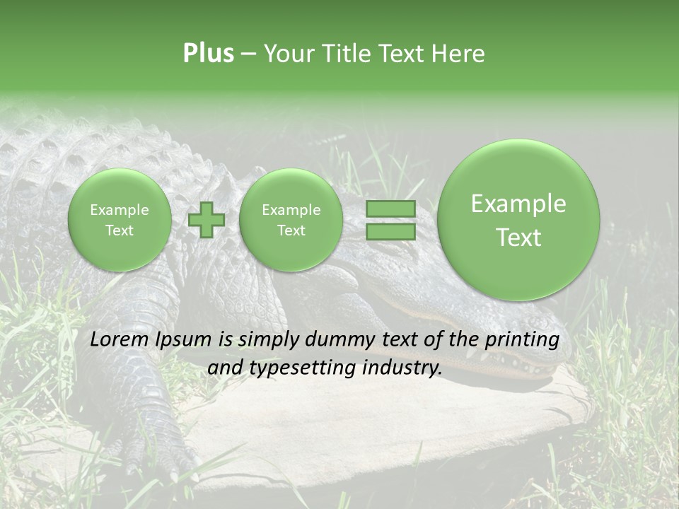 Crocodile PowerPoint Template