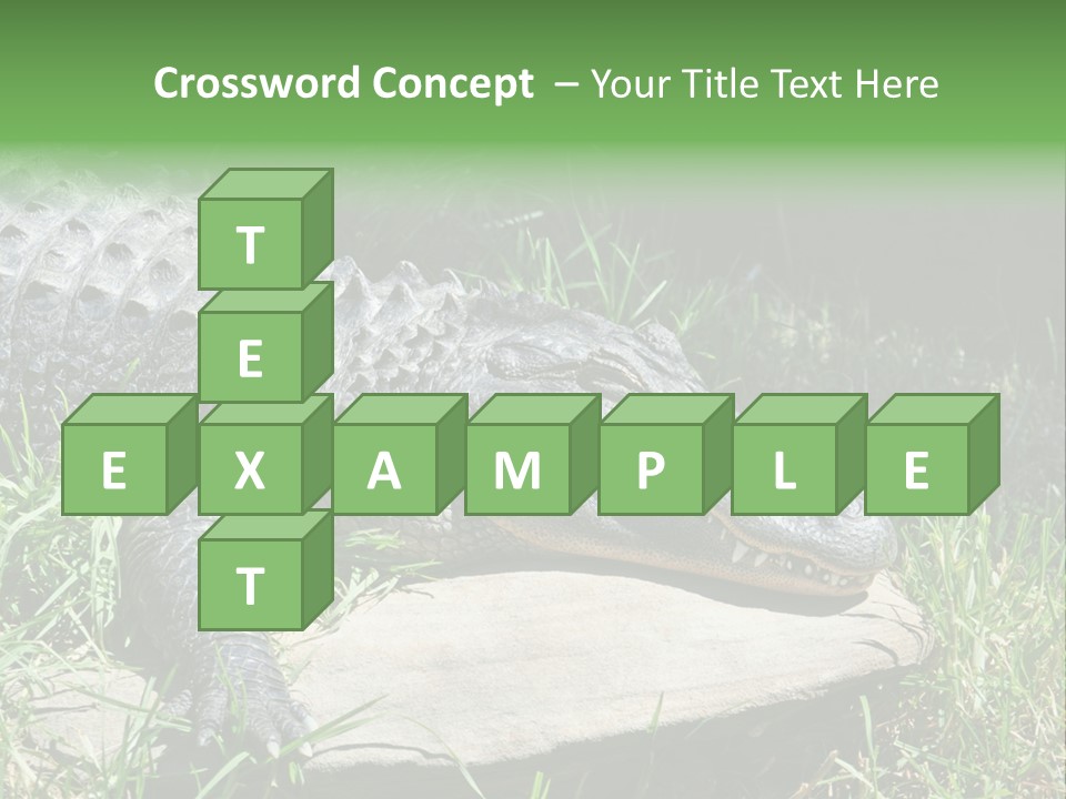 Crocodile PowerPoint Template