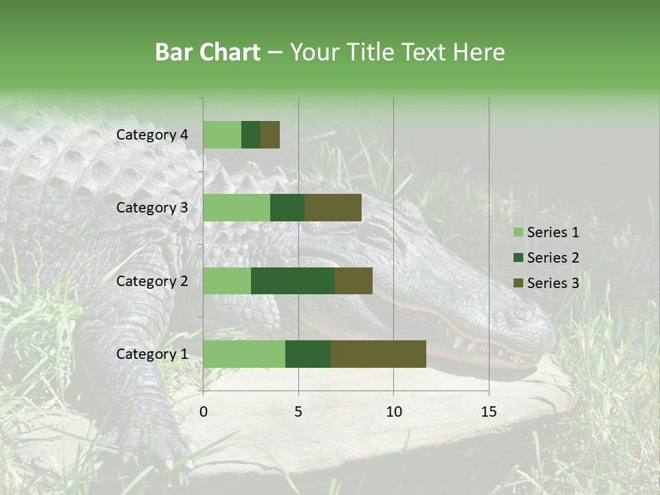 Crocodile PowerPoint Template