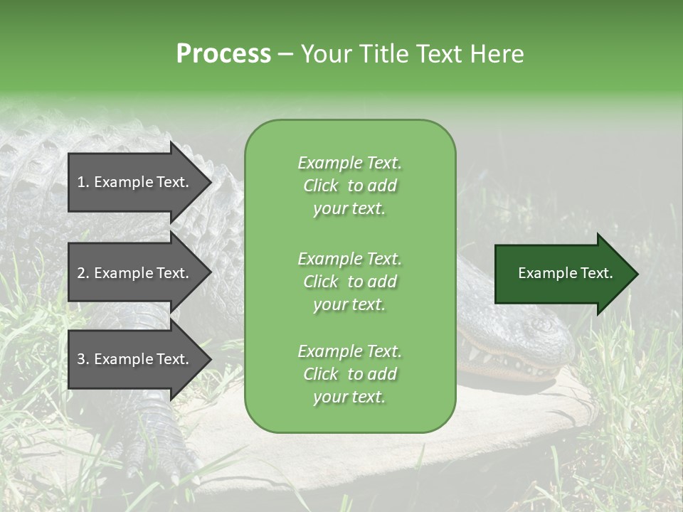 Crocodile PowerPoint Template