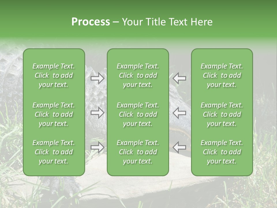 Crocodile PowerPoint Template