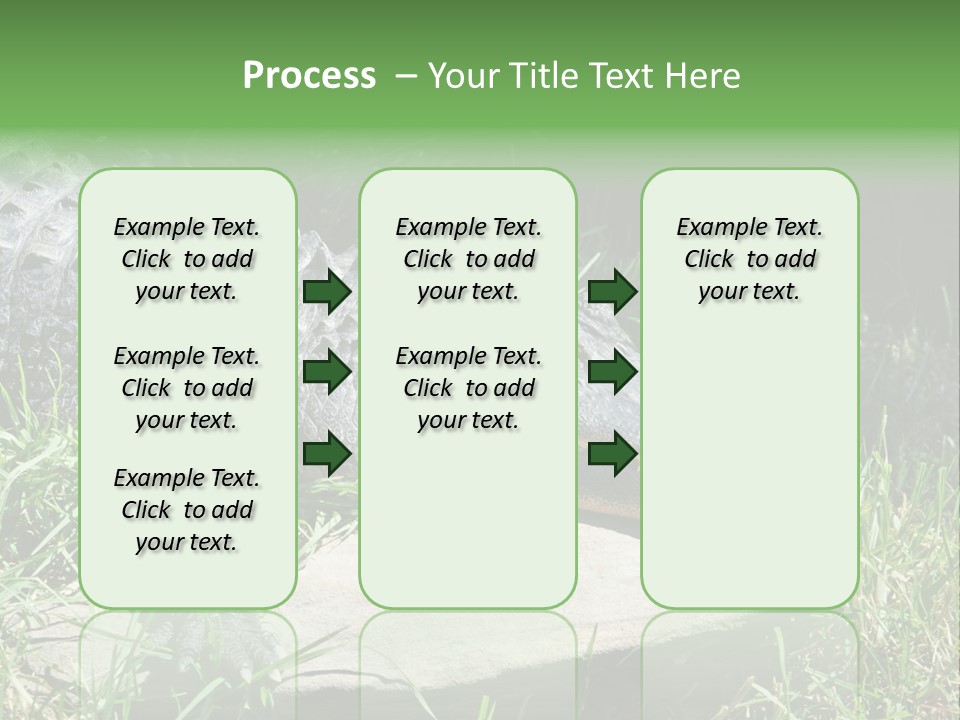 Crocodile PowerPoint Template