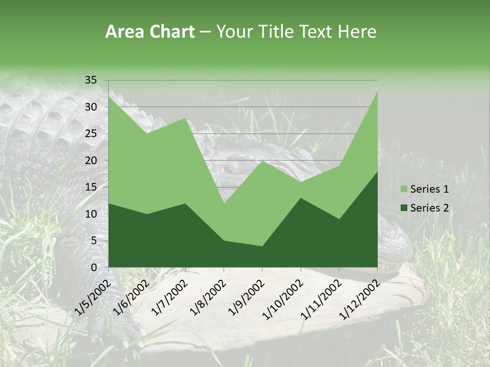 Crocodile PowerPoint Template