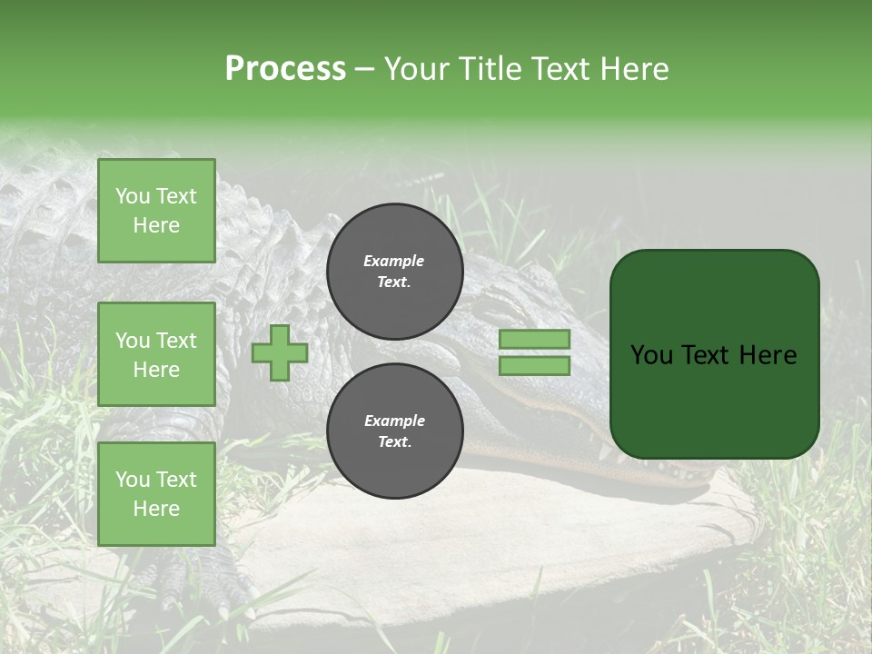 Crocodile PowerPoint Template