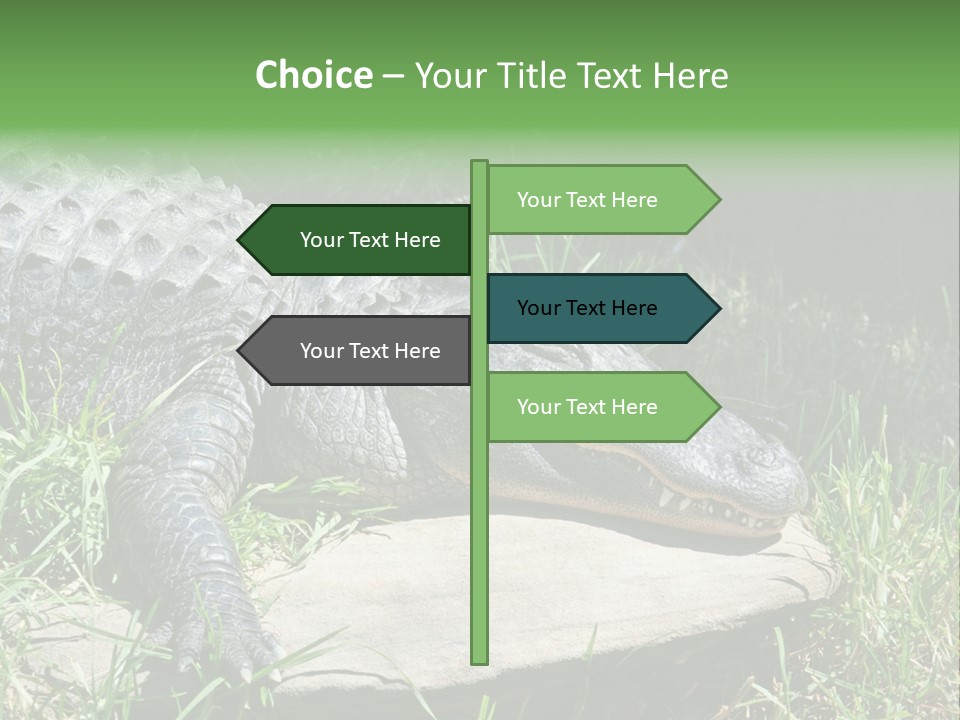 Crocodile PowerPoint Template