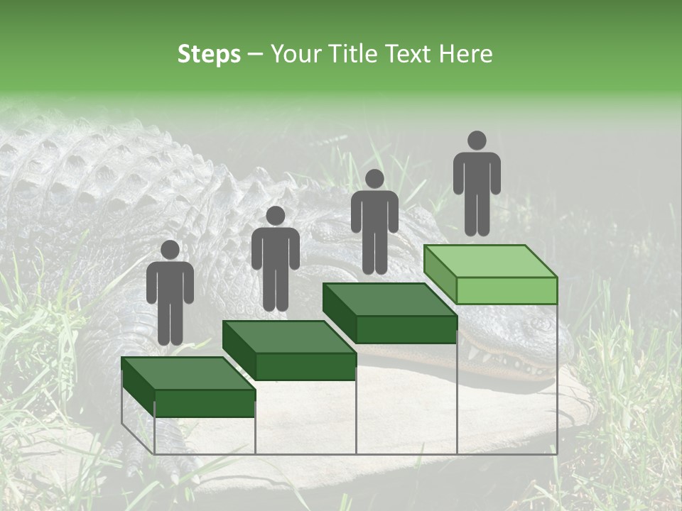 Crocodile PowerPoint Template