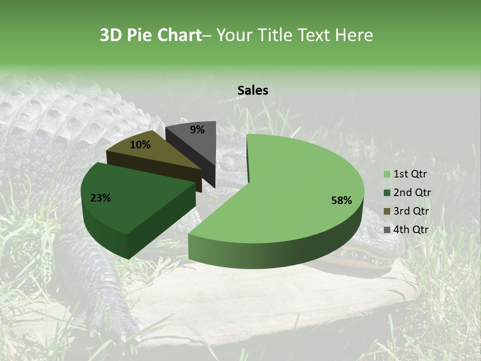 Crocodile PowerPoint Template