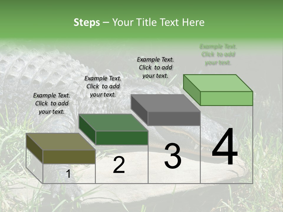 Crocodile PowerPoint Template