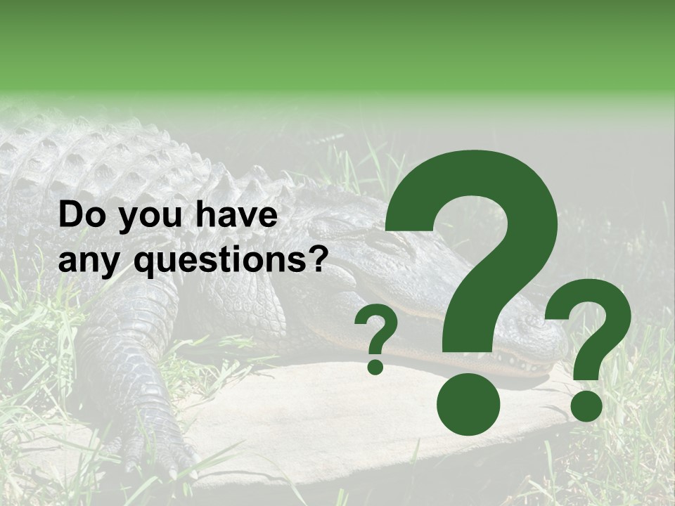 Crocodile PowerPoint Template