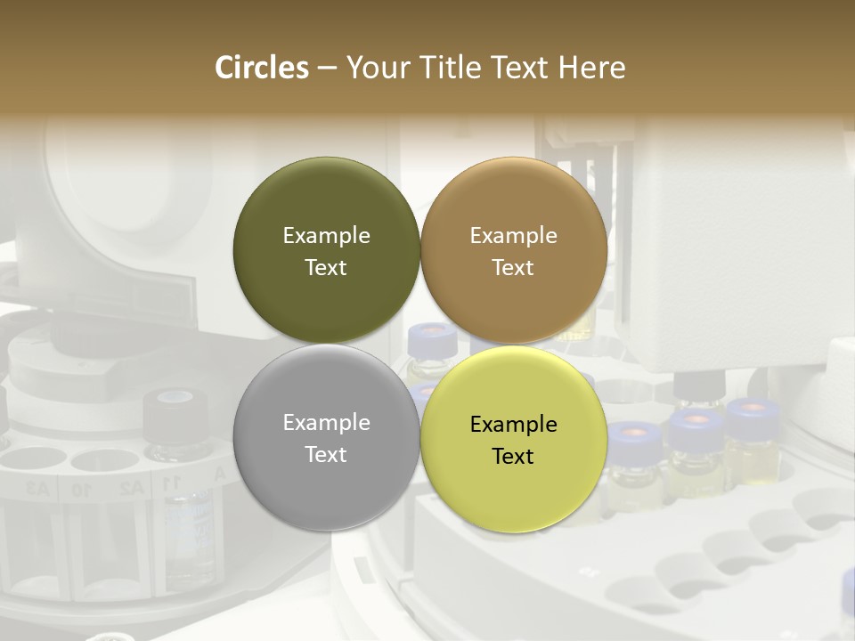 Fluffy Chinese Year PowerPoint Template