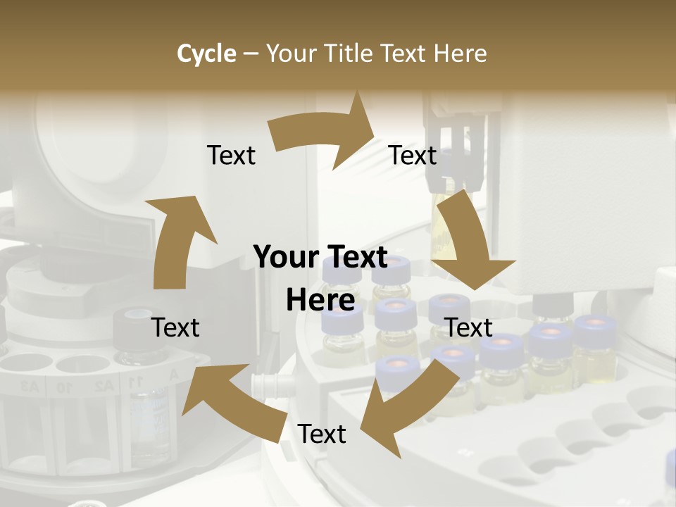 Fluffy Chinese Year PowerPoint Template