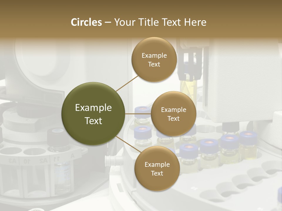 Fluffy Chinese Year PowerPoint Template