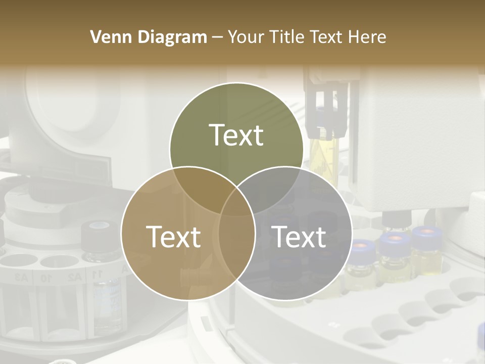 Fluffy Chinese Year PowerPoint Template