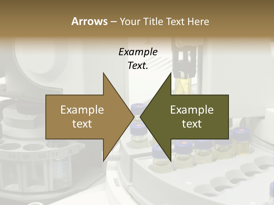 Fluffy Chinese Year PowerPoint Template