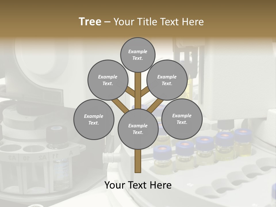 Fluffy Chinese Year PowerPoint Template