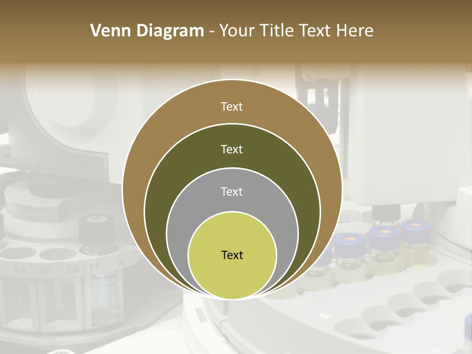 Fluffy Chinese Year PowerPoint Template