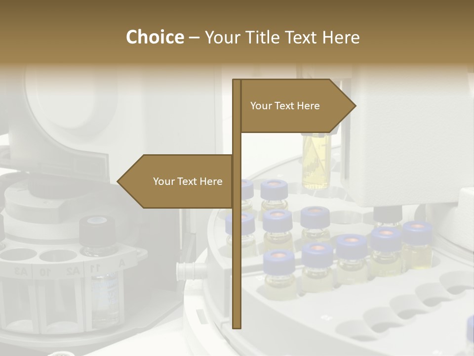 Fluffy Chinese Year PowerPoint Template