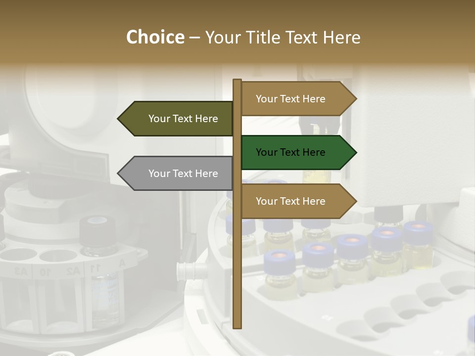 Fluffy Chinese Year PowerPoint Template