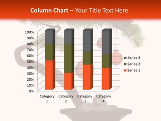 Fluffy Chinese Year PowerPoint Template