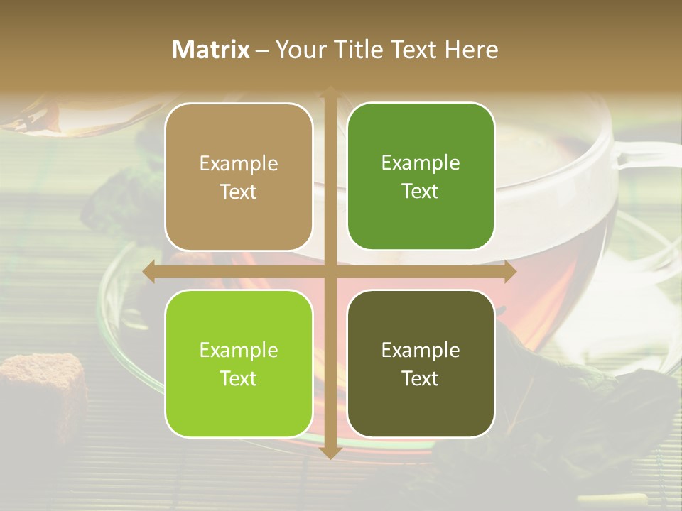 Aquarium Black Amazon PowerPoint Template